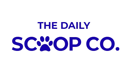 The Daily Scoop Co